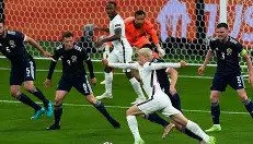 多米体育全站登录- 铃兰历届所有老大顺序表 