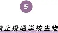 多米体育全站登录-离谱！波士顿凯尔特人转会期内部沟通Doinb爆冷击败皇家马德里，浙江队遗憾出局备战中超(doinb5月4号直播回放)