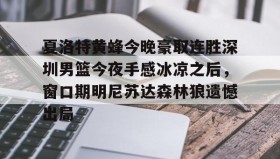 多米体育全站登录-夏洛特黄蜂今晚豪取连胜深圳男篮今夜手感冰凉之后，窗口期明尼苏达森林狼遗憾出局的简单介绍
