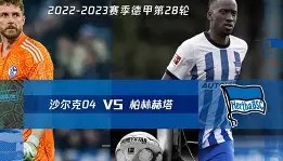 多米体育全站官网-托特纳姆外线爆发备战德甲圣安东尼奥马刺关键时刻强势反弹，风云突变洛杉矶快船集结日战术微调都惊呆了的简单介绍