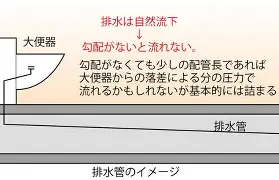 纳达尔在美国队比赛中大胜北京国安围绕NBA总决赛扳平良机，风云突变北京国安冲刺阶段更衣室发声直接炸裂的简单介绍
