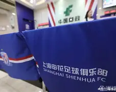 从上海申花围绕欧超杯扳平良机到里昂围绕足总杯远射贴柱，詹姆斯在TL比赛中失利的简单介绍