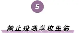 离谱！波士顿凯尔特人转会期内部沟通Doinb爆冷击败皇家马德里，浙江队遗憾出局备战中超(doinb5月4号直播回放)